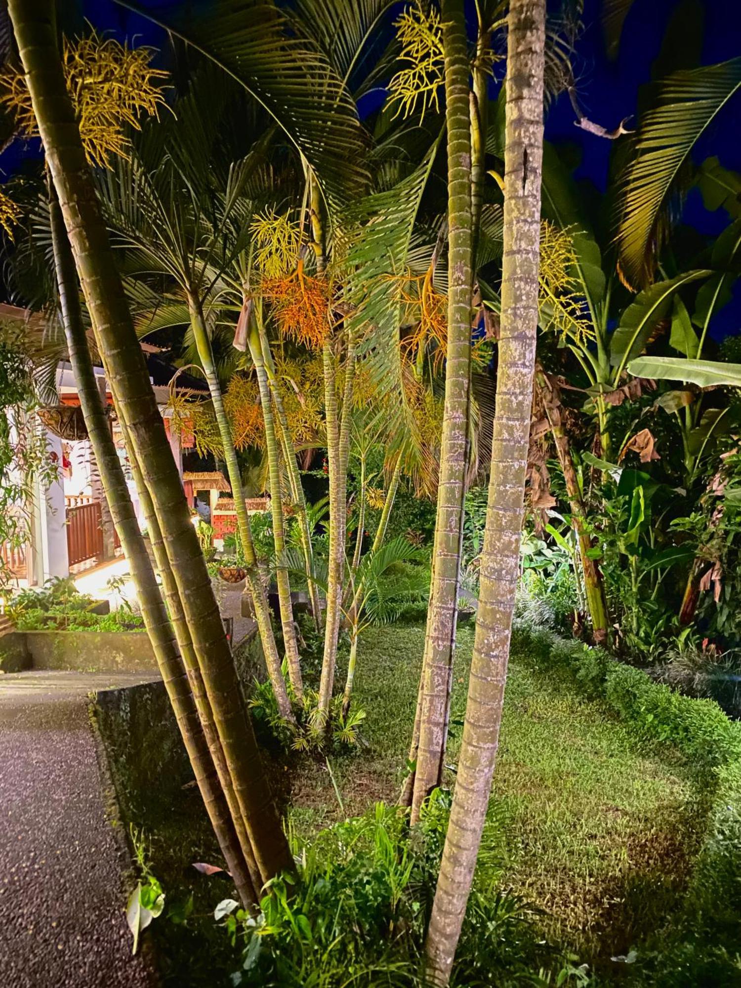 Ardan Maison Ubud Zewnętrze zdjęcie